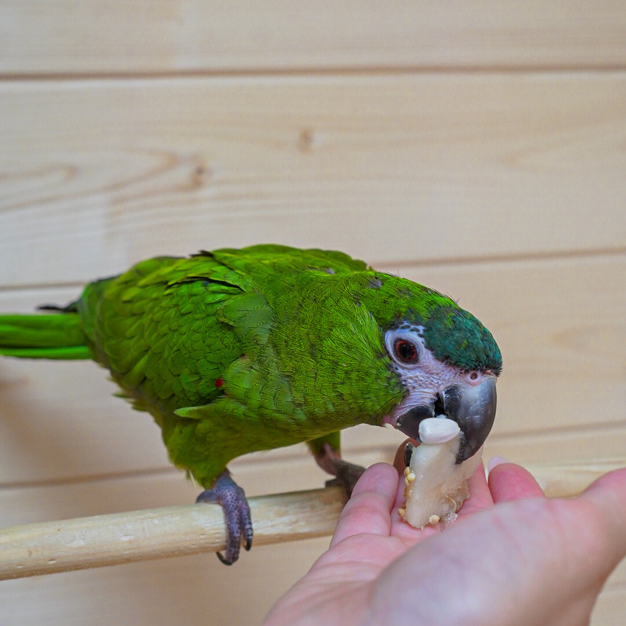 Отзывы. Uvarovsphoto