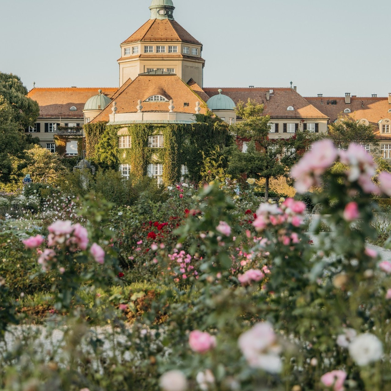 Feedback. Family photographer in Munich