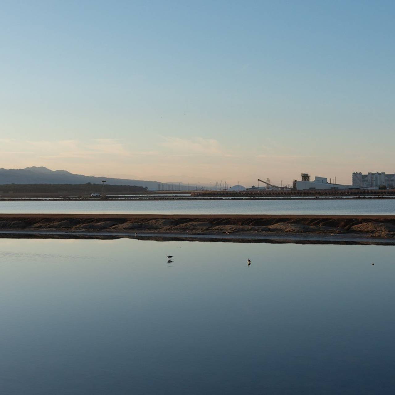 Отзывы. Dina Solomina | Фотограф в Израиле