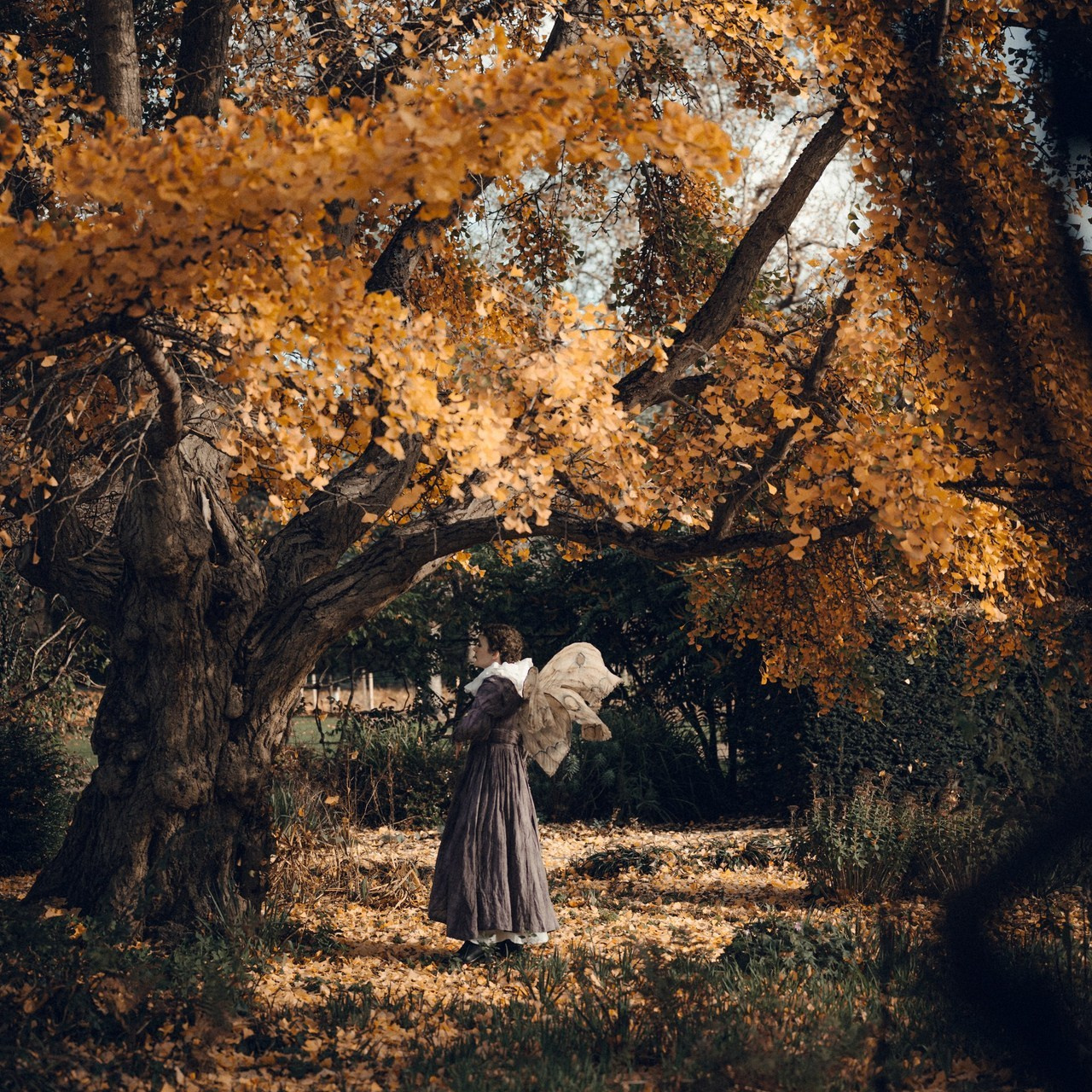 Moth & Moss Photography