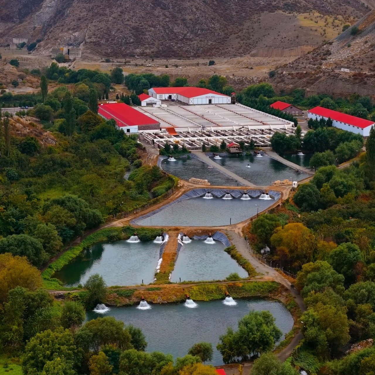 FEEDBACK. Food & product photographer Suleyman Suleymanli