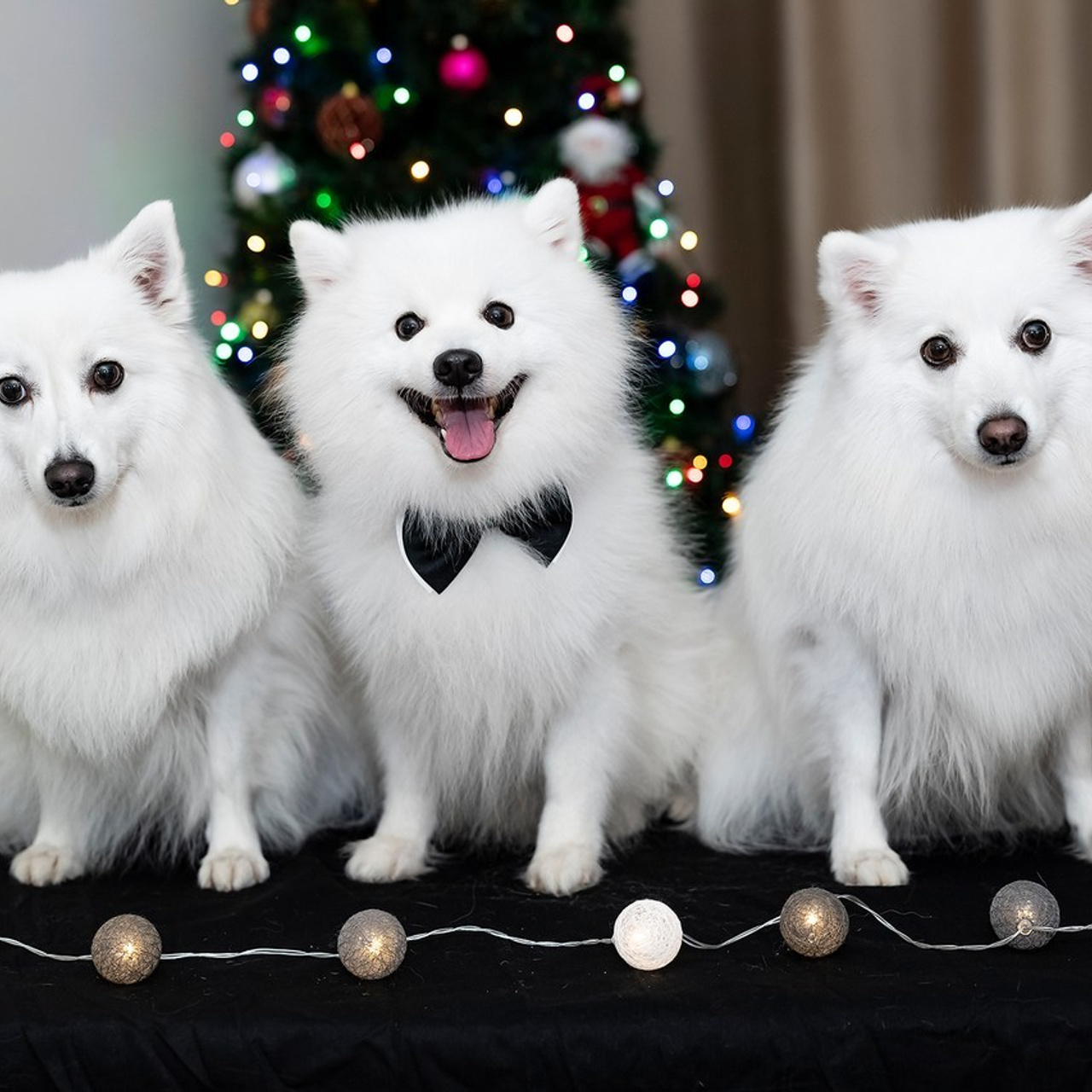 Customer Reviews. Aleksandr Abrosimov Photography