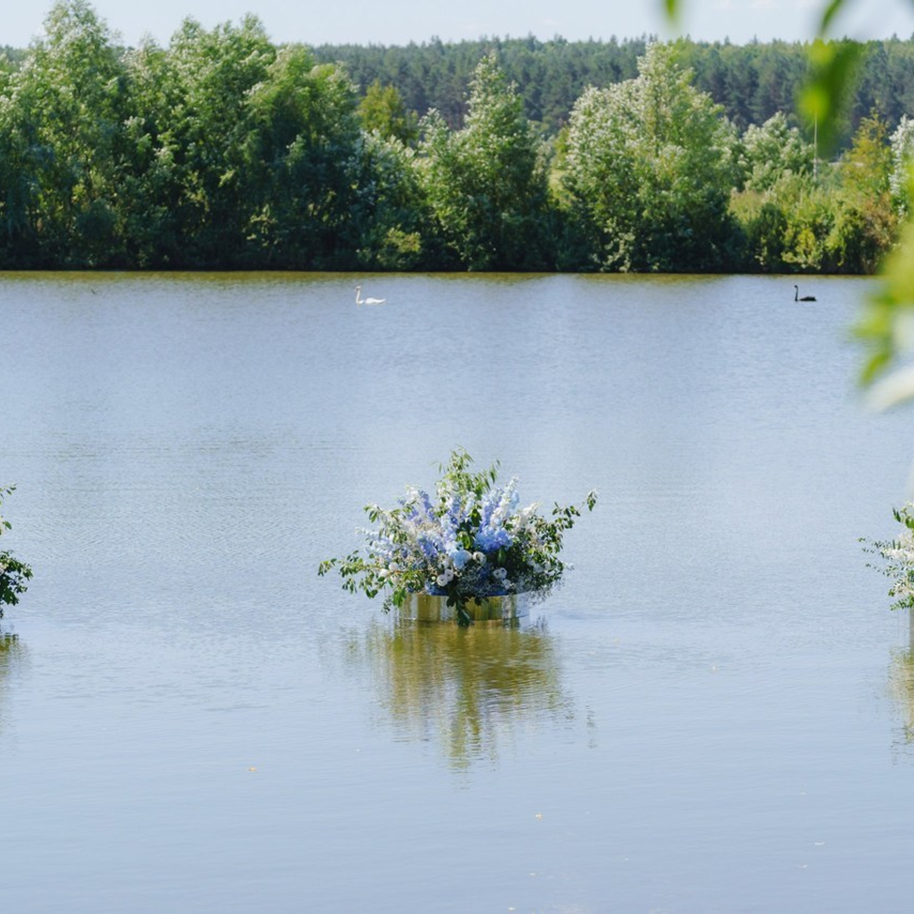 Відгуки. Harbovskiy Photo