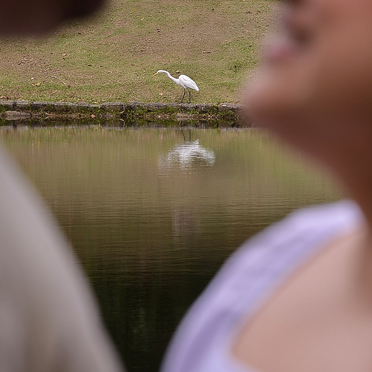 Carolina & Richard, Jardim Botânico de&nbsp;São Paulo