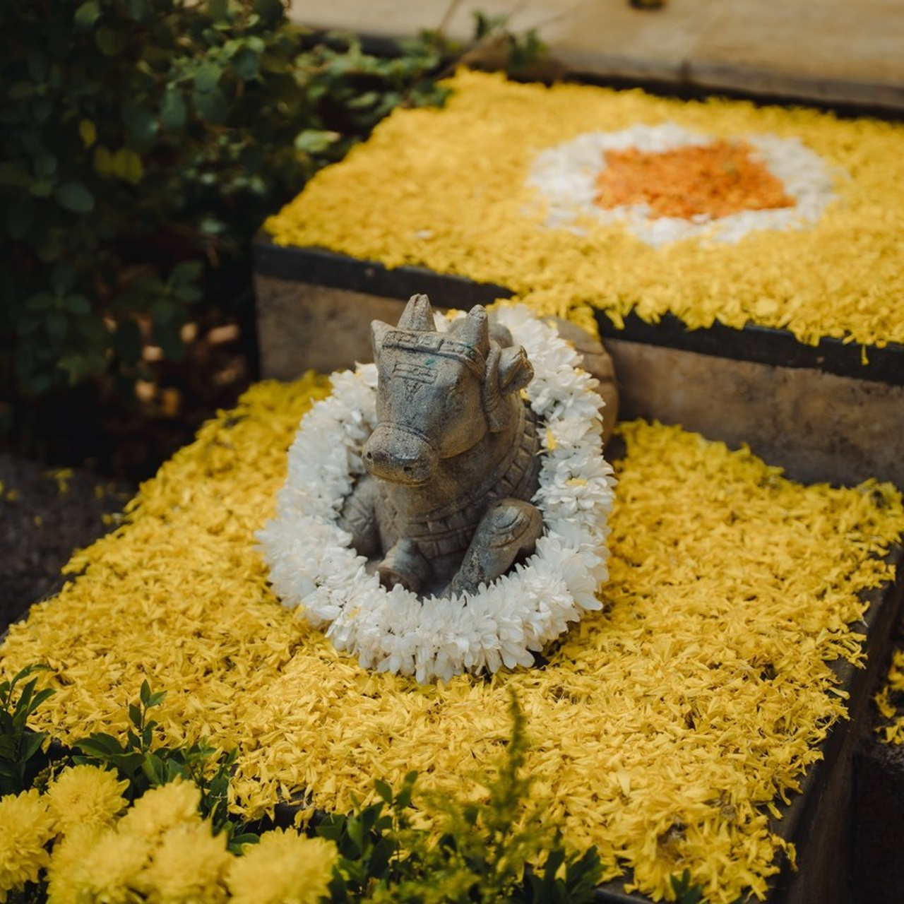 Testimonials. Ebinbabuphotography.com