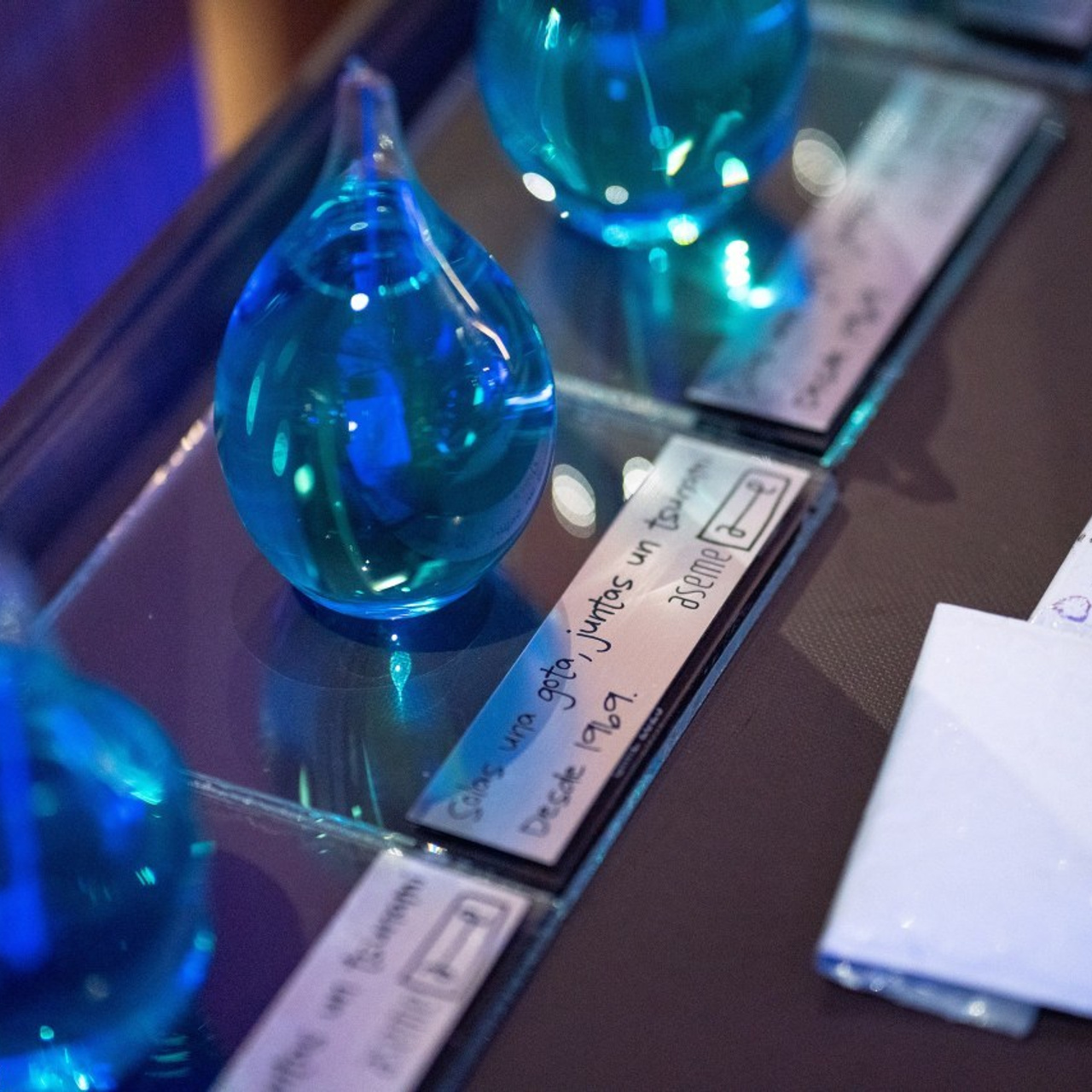 Reseñas. Fotógrafa en Madrid | Retratos femeninos, familia y sesiones con caballos – Anna Maruleva