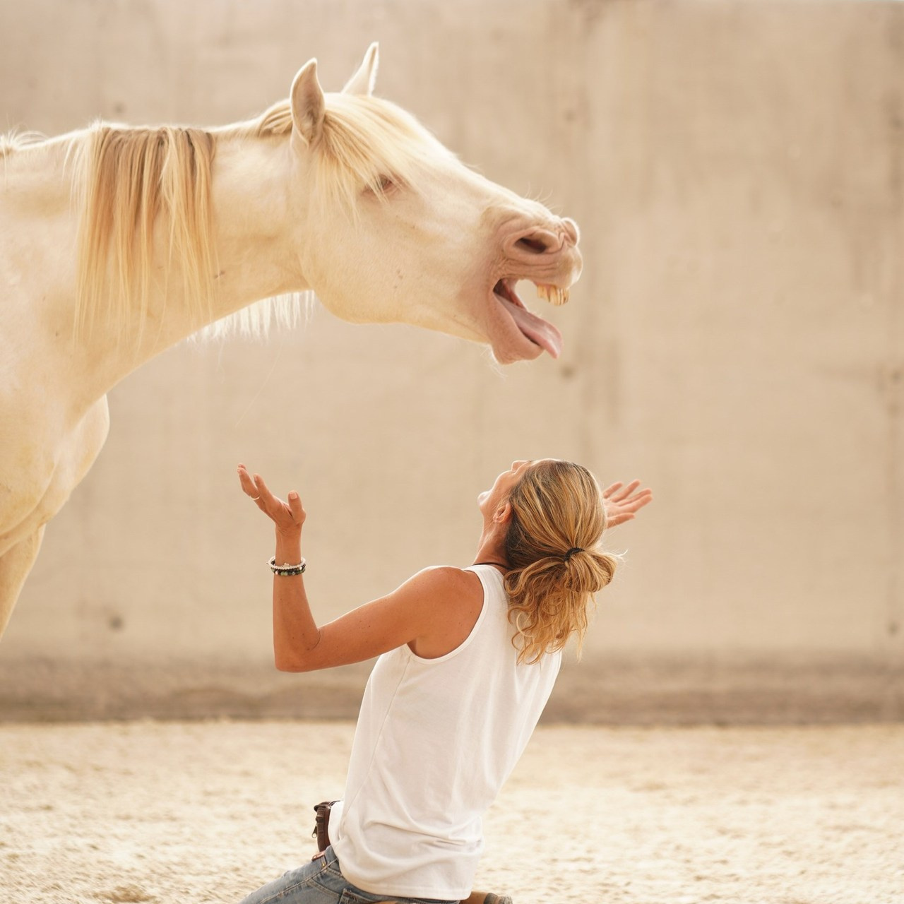 Reseñas. Fotógrafa en Madrid | Retratos femeninos, familia y sesiones con caballos – Anna Maruleva
