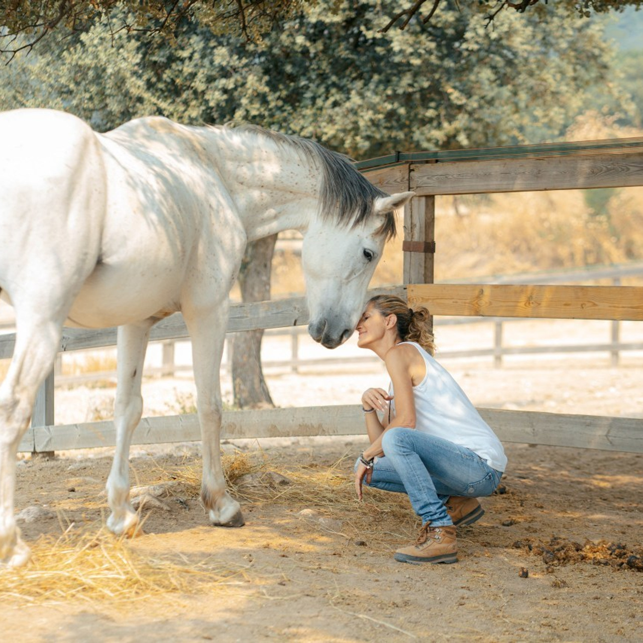 Reseñas. Fotógrafa en Madrid | Retratos femeninos, familia y sesiones con caballos – Anna Maruleva
