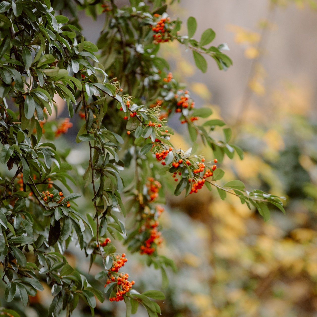 Testimonials. Iurkovski PHOTOGRAPHY in Europe. Luxury destination weddings and events