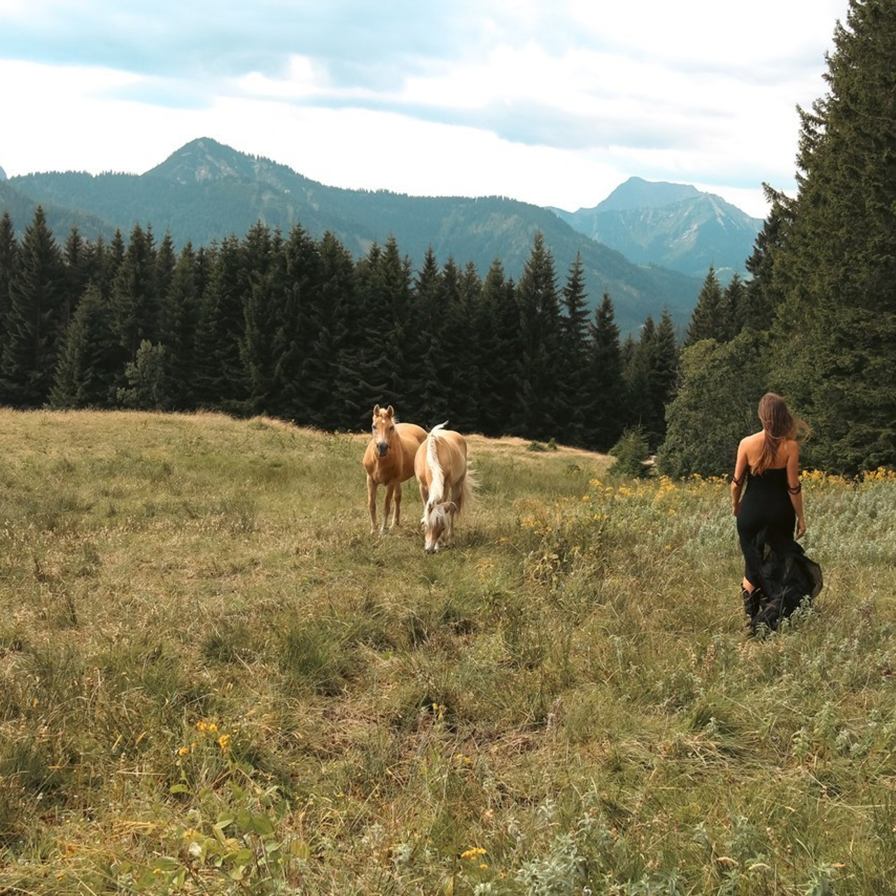 Feedback. Look Around You