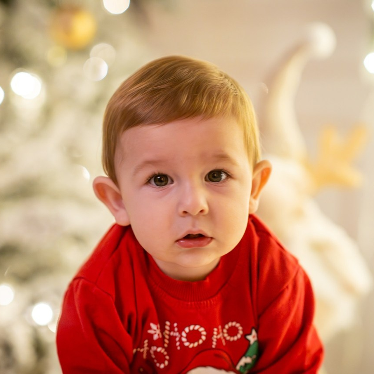 Parerile clientilor despre Adelinne. Adelinne — fotograf profesionist în Constanța pentru familii, bebeluși și evenimente