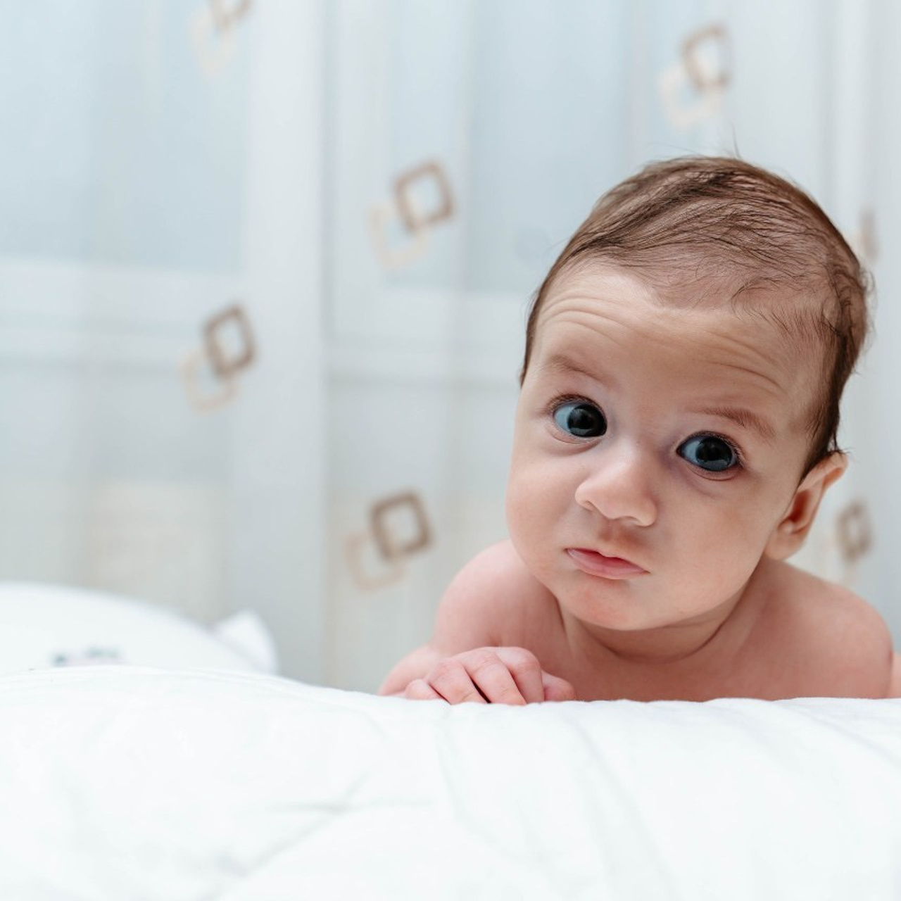 Recenzii. Ionut Birceanu