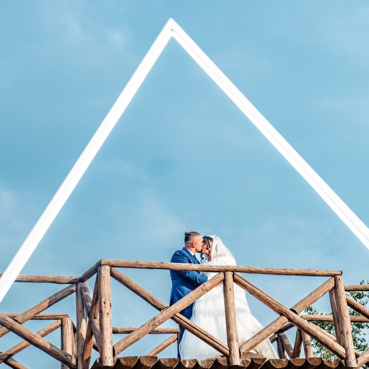 Recenzii. Ionut Birceanu