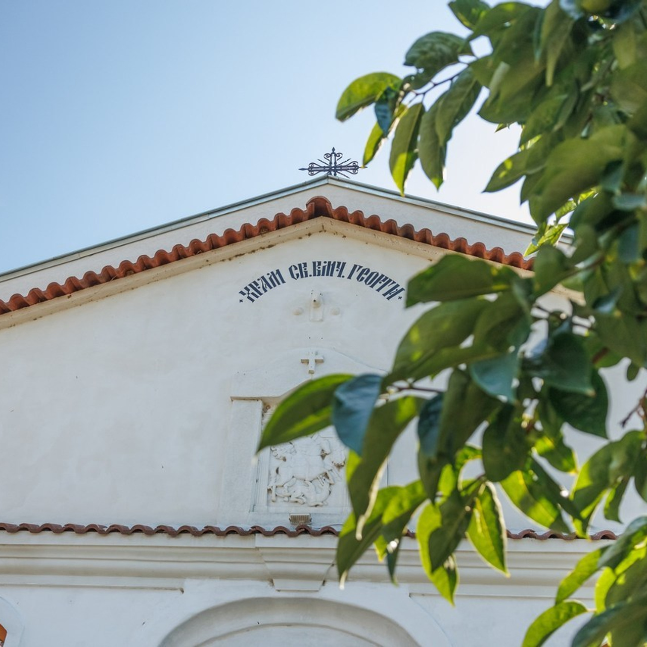 Отзиви. Фотограф Ирина Йотова