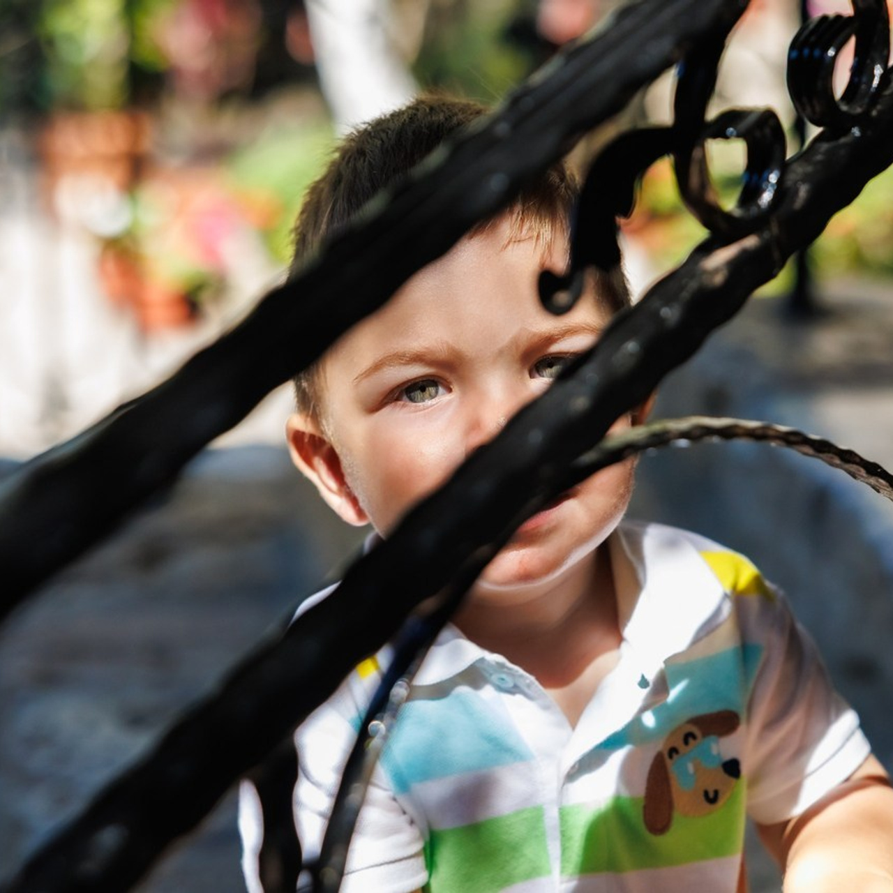 Отзиви. Фотограф Ирина Йотова