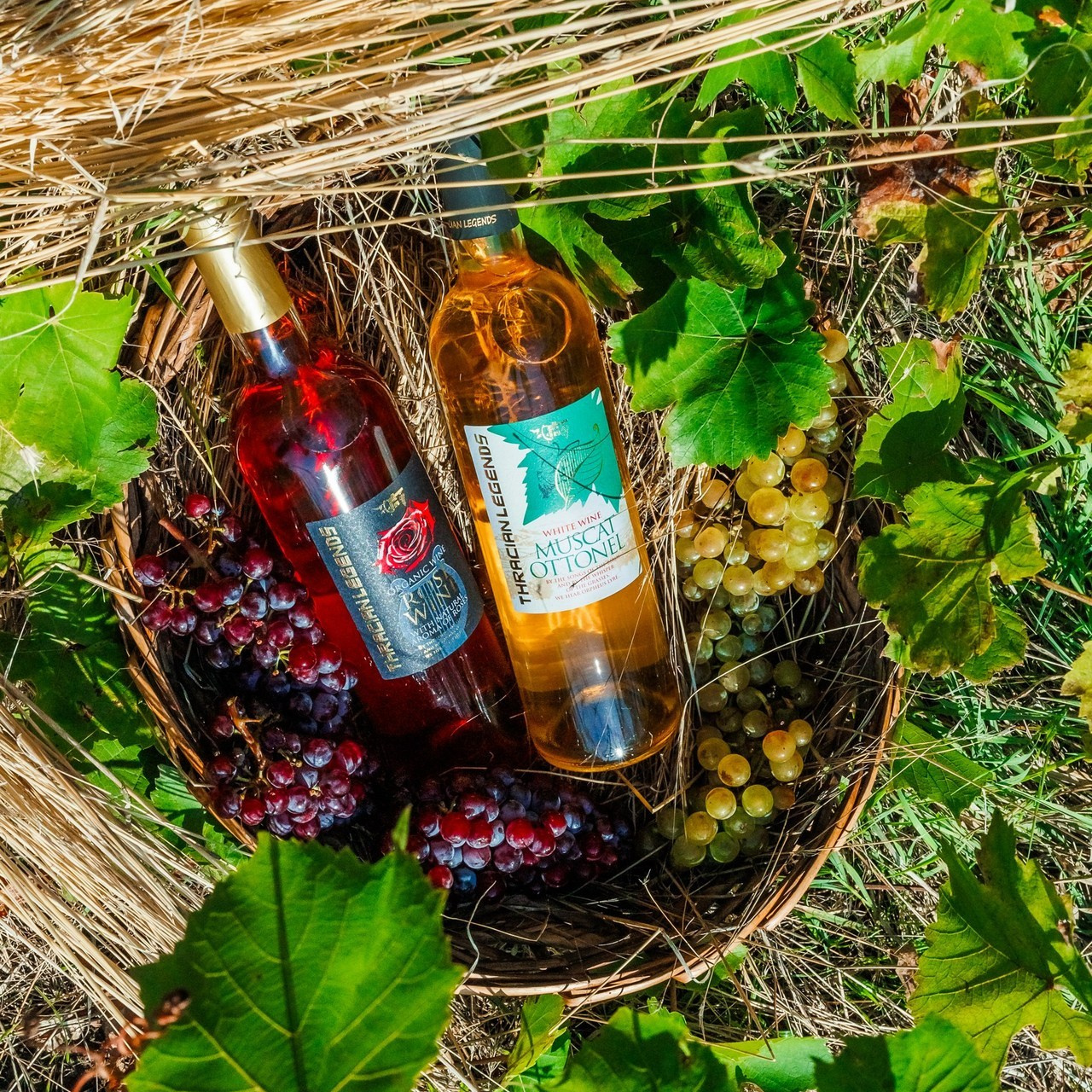 Отзиви. Фотограф Ирина Йотова