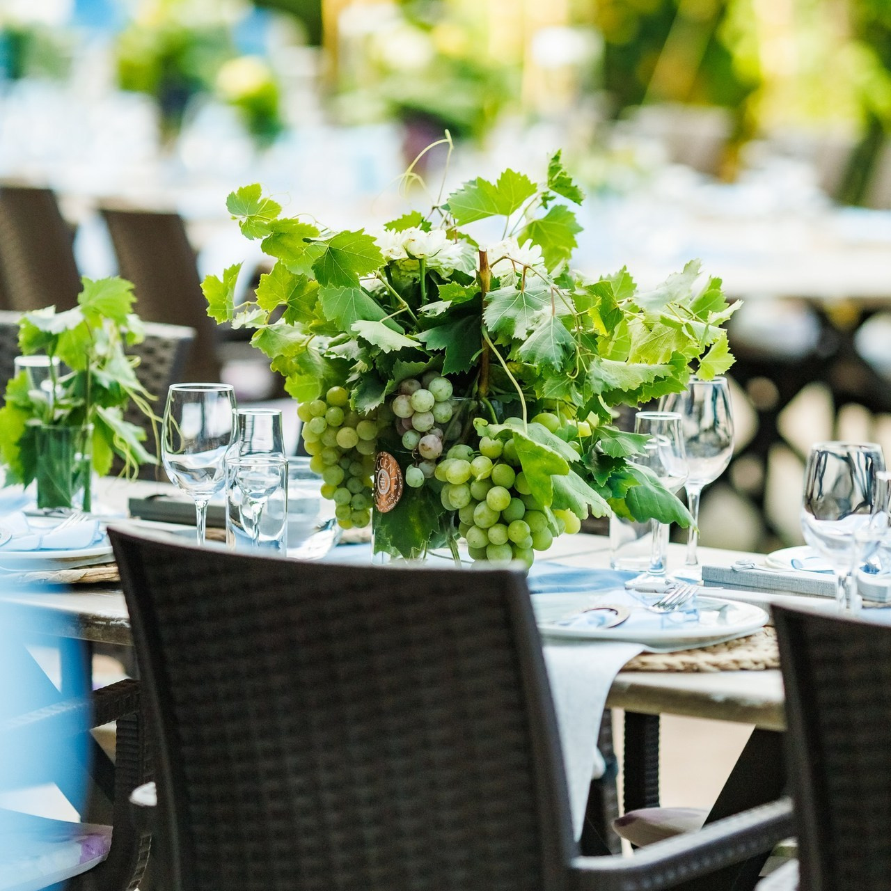 Отзиви. Фотограф Ирина Йотова