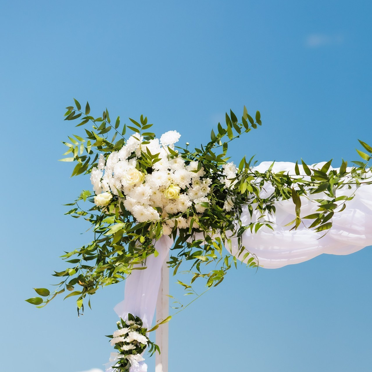 Отзиви. Фотограф Ирина Йотова