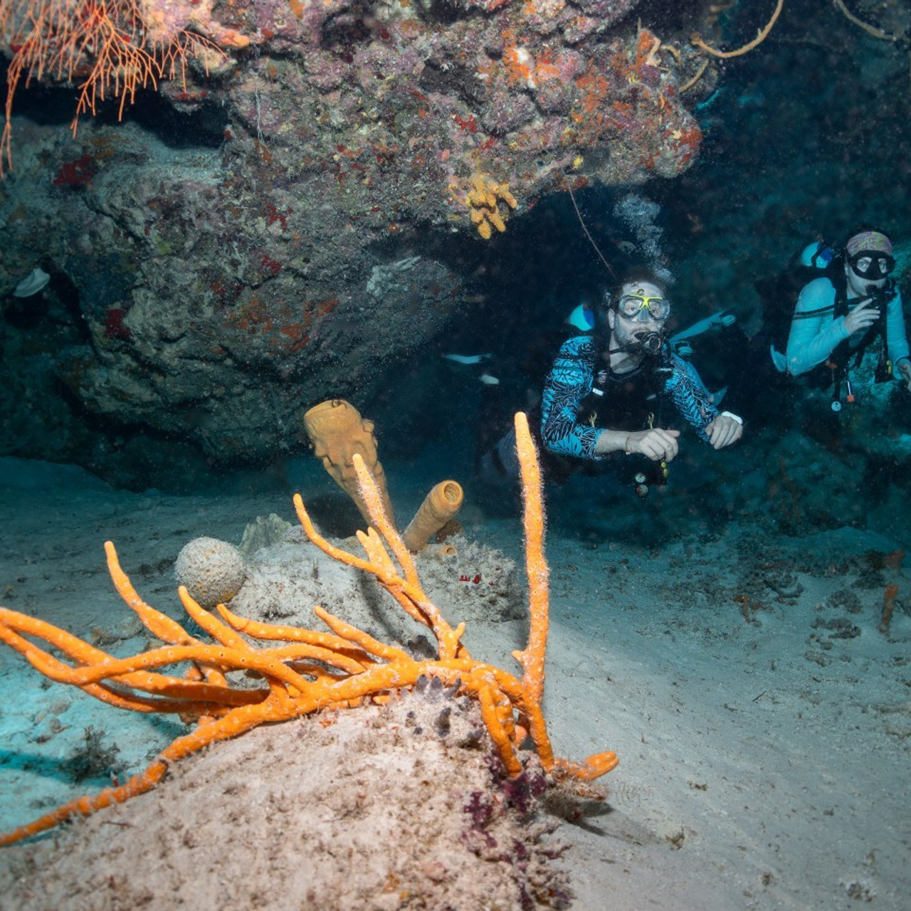 Testimonials. Your photographer on land and under water— Alexey Zaytsev