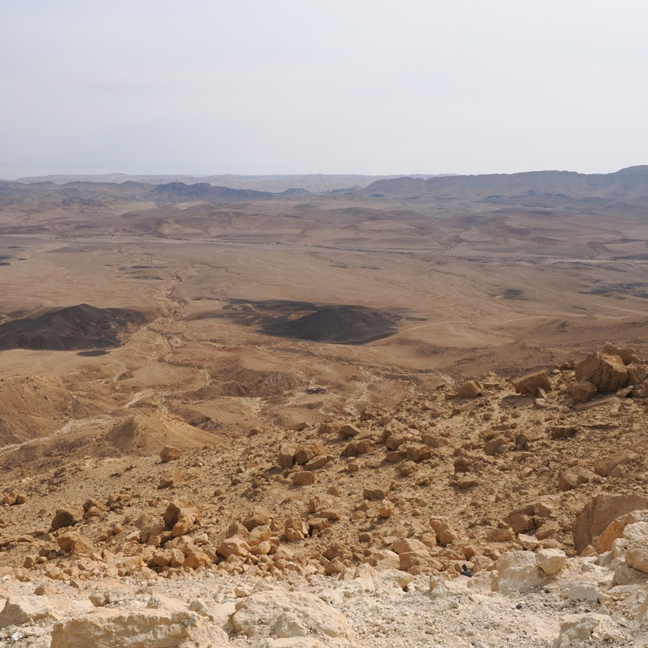 Testimonials. Your photographer on land and under water— Alexey Zaytsev