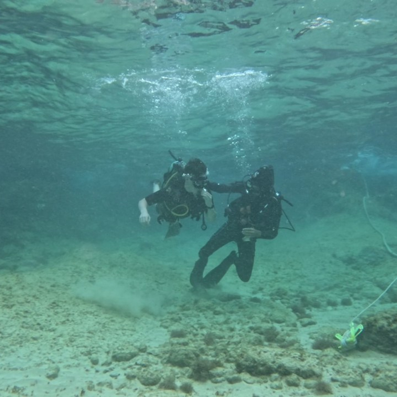 Testimonials. Your photographer on land and under water— Alexey Zaytsev