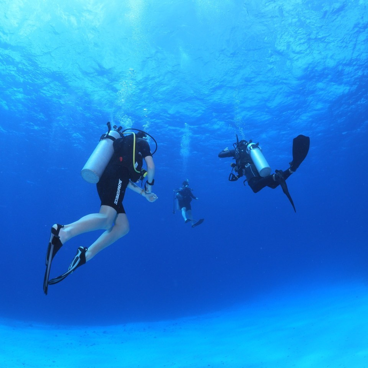 Testimonials. Your photographer on land and under water— Alexey Zaytsev