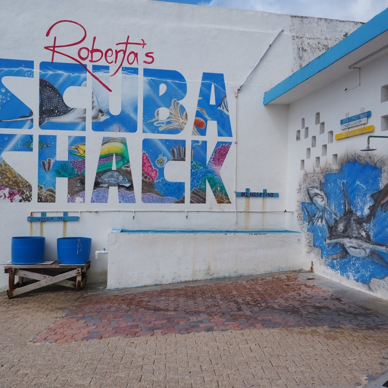 Testimonials. Your photographer on land and under water— Alexey Zaytsev