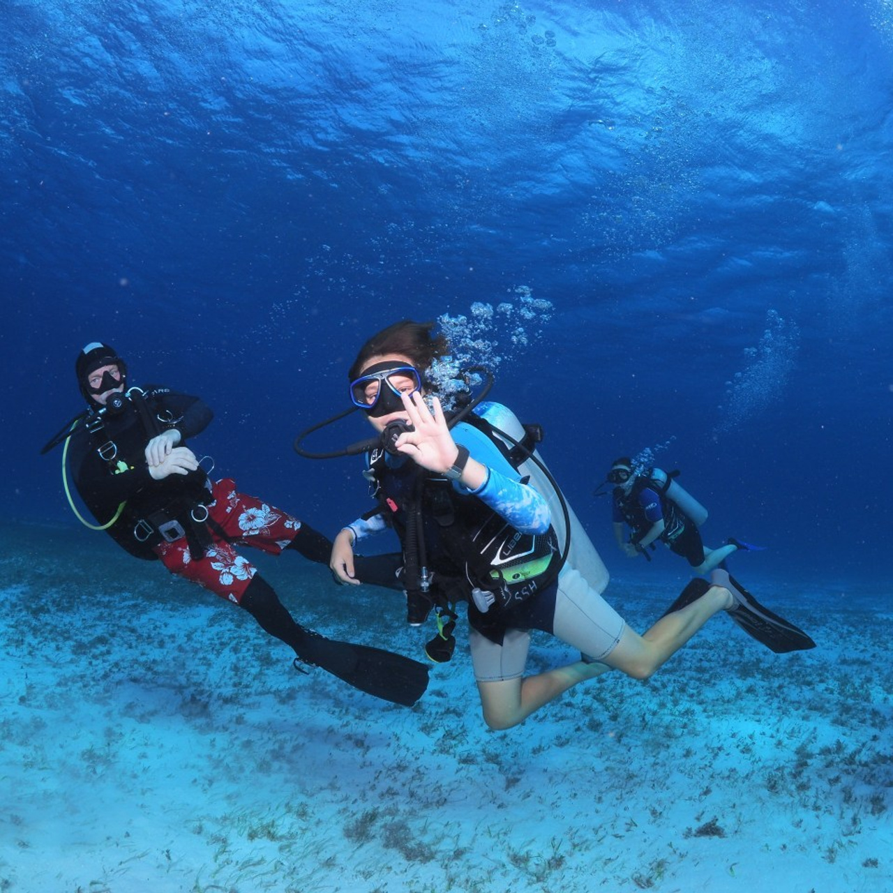 Testimonials. Your photographer on land and under water— Alexey Zaytsev