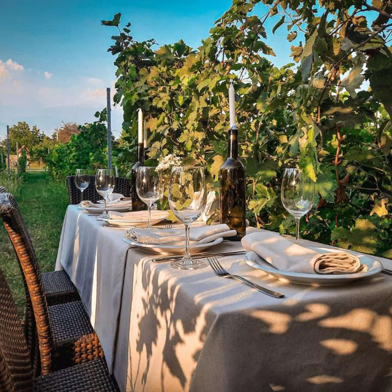 Schuchmann Wines Château, Villas & SPA