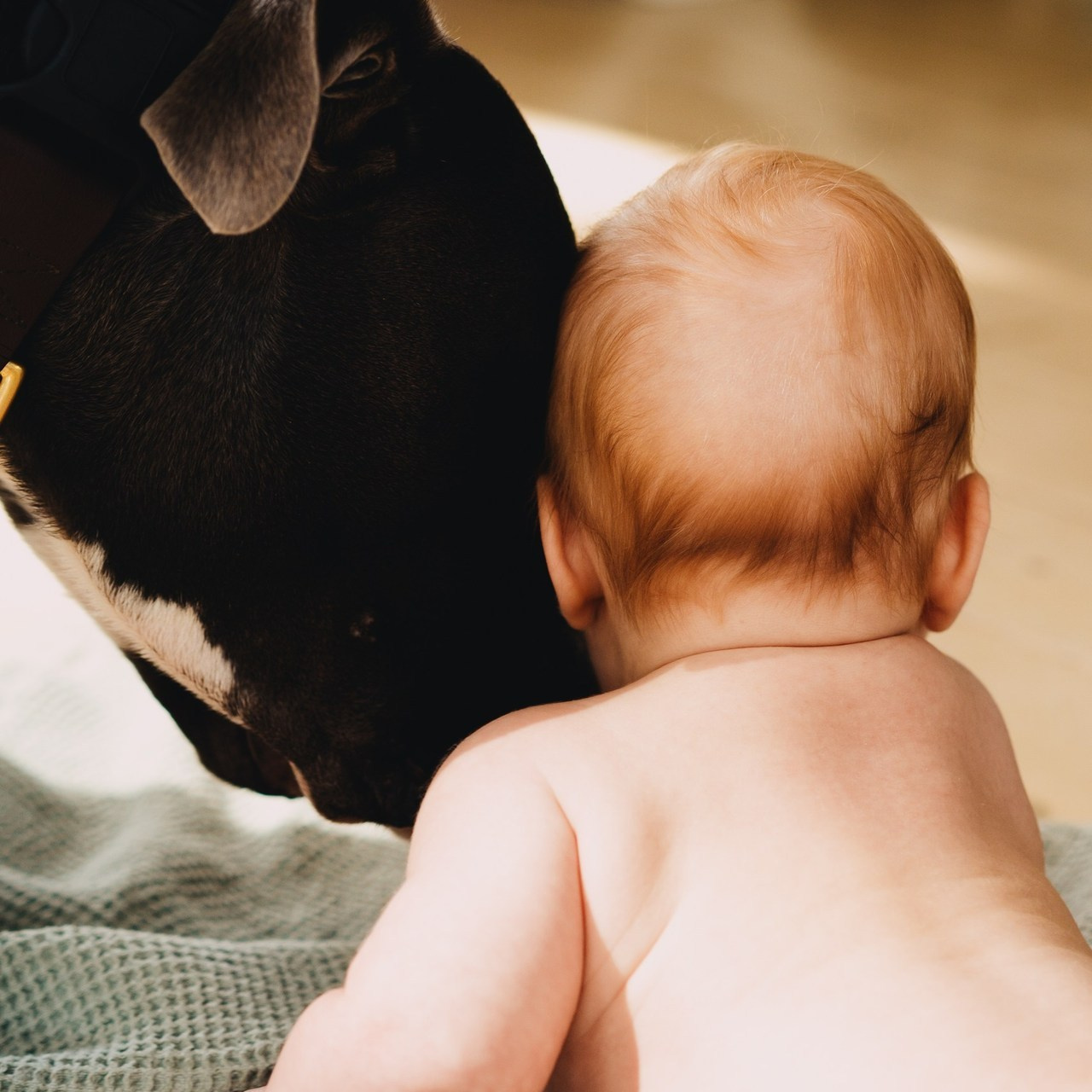 Testimonials. Elena Pretzner Photography