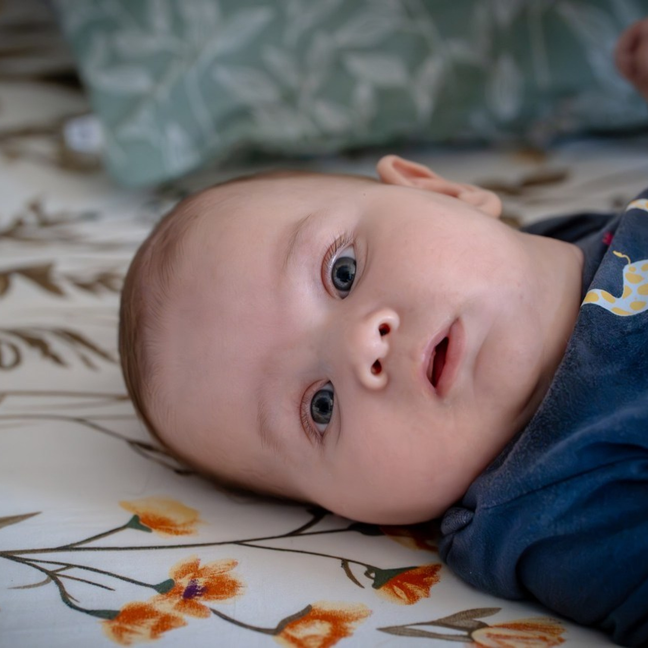 Testimonials. Fotograf Timisoara — GradArt Concept