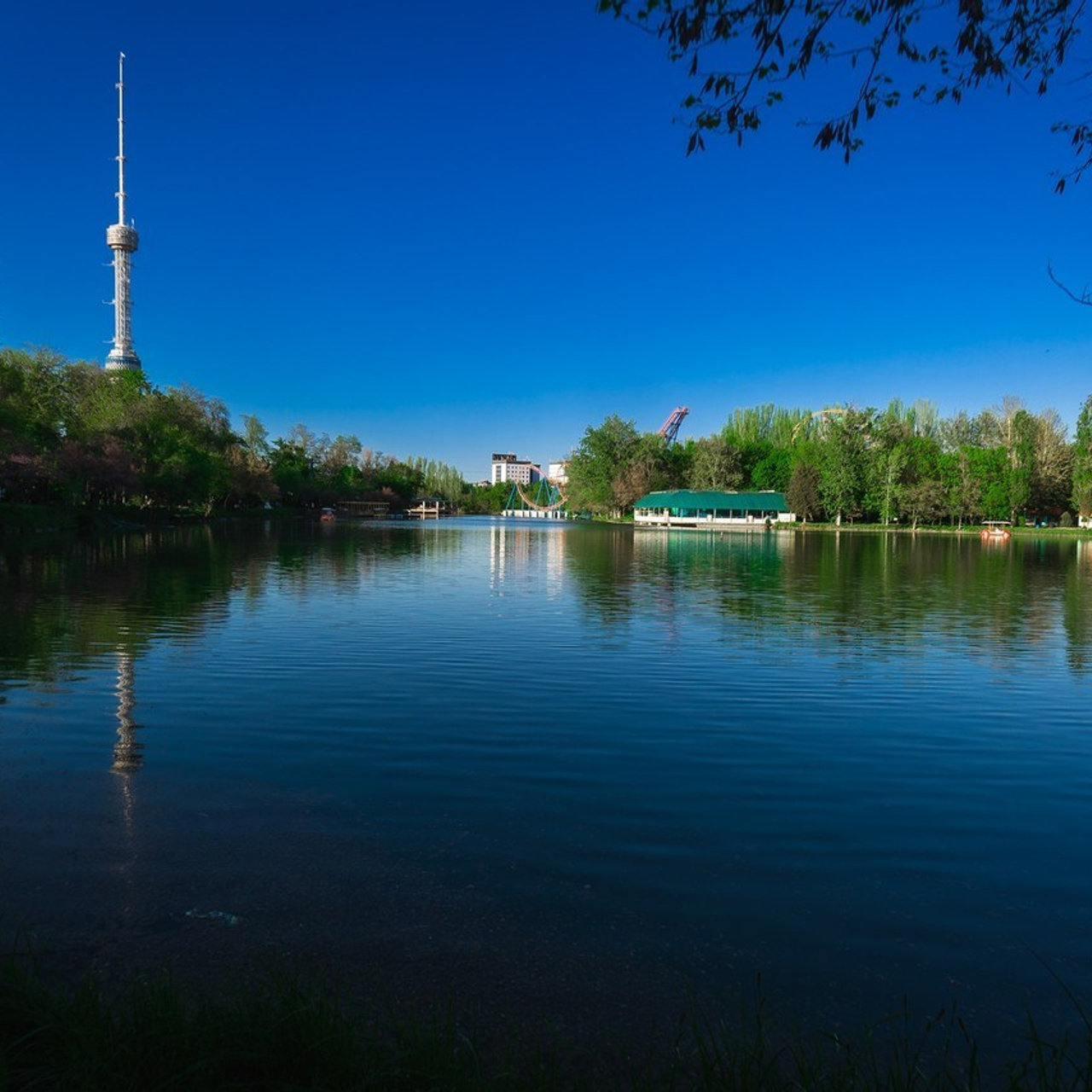 Интерьерный, свадебный, портретный и фуд-фотограф в Ташкенте — отзывы клиентов