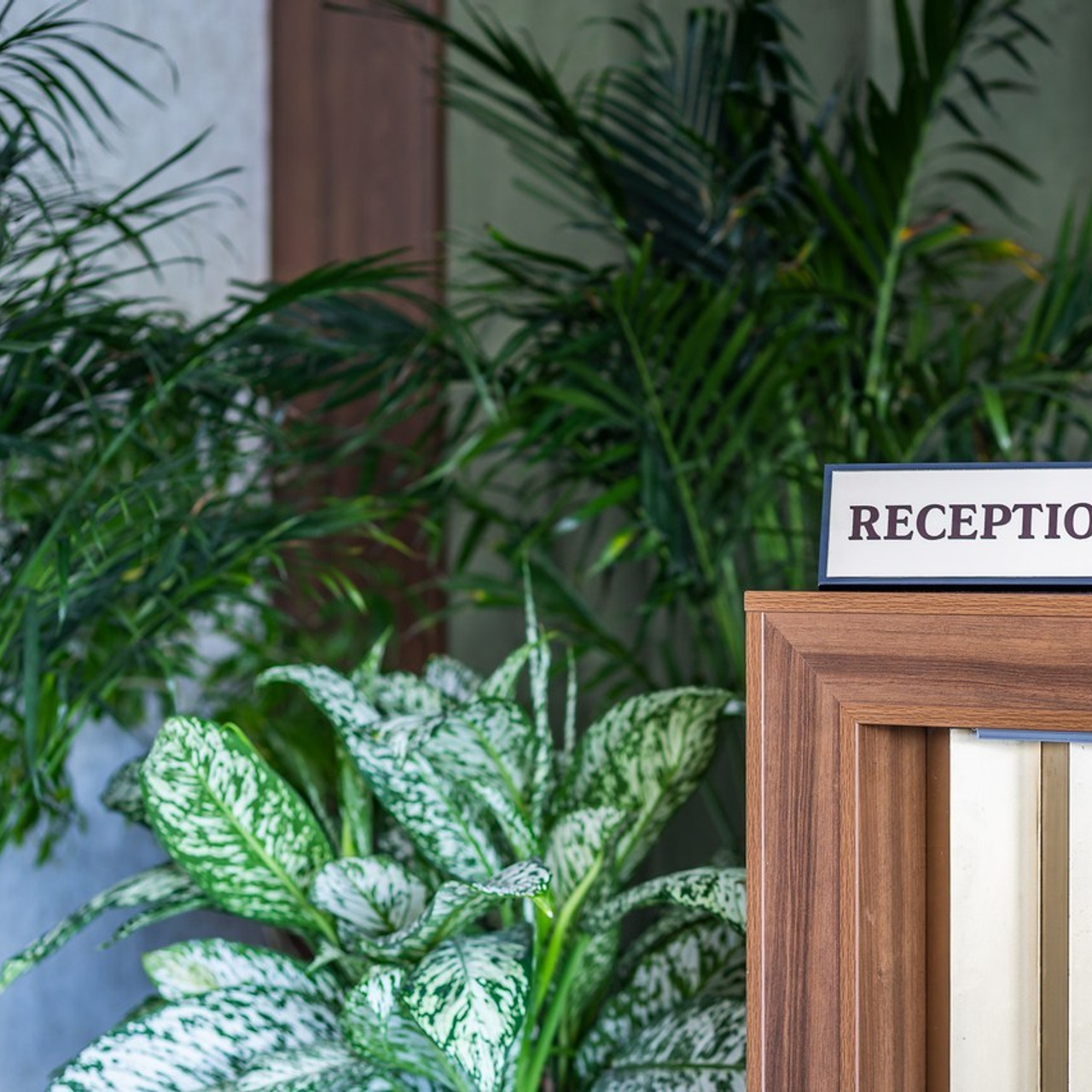 Interior, Wedding, Portrait & Food Photographer in Tashkent — Client Reviews