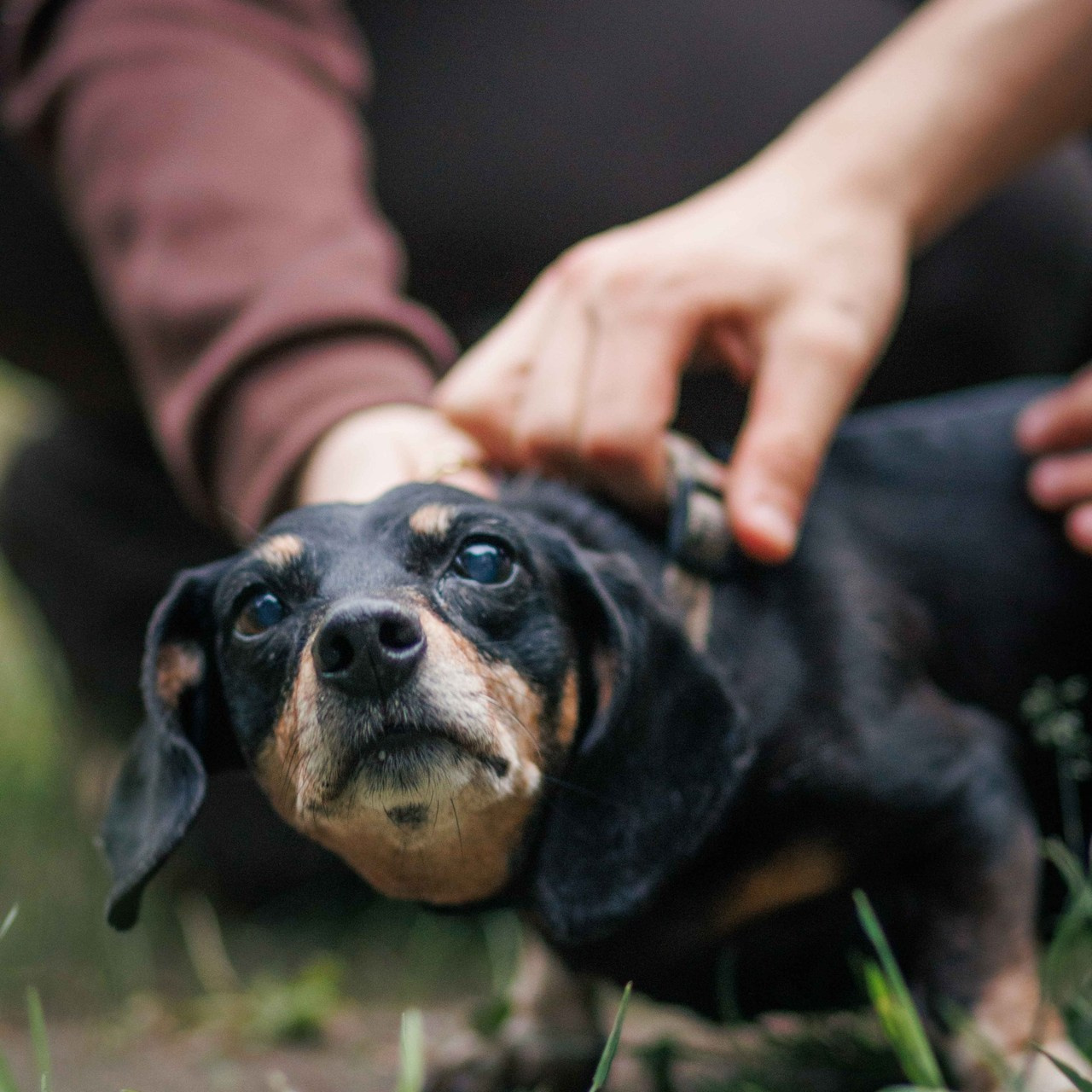 Testimonials. Portrait and Street photographer in Vilnius Edgar Shaipunas