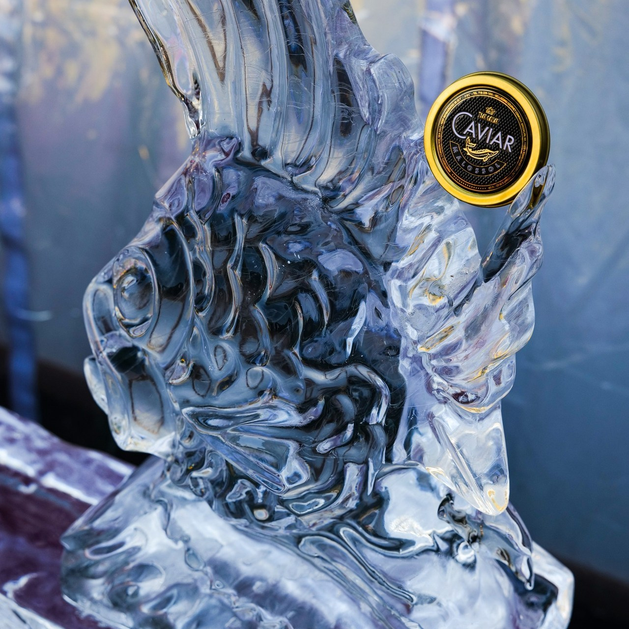 Reviews. Photographer New York / Los Angeles