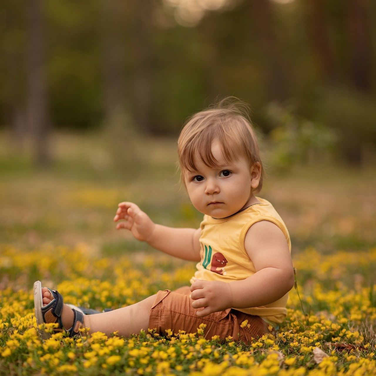 Recenzii. N.D.photograph - fotograf de familie și portrete în Republica Moldova