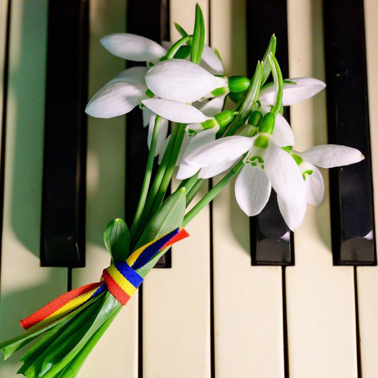 Testimonials. KoRa Foto Art