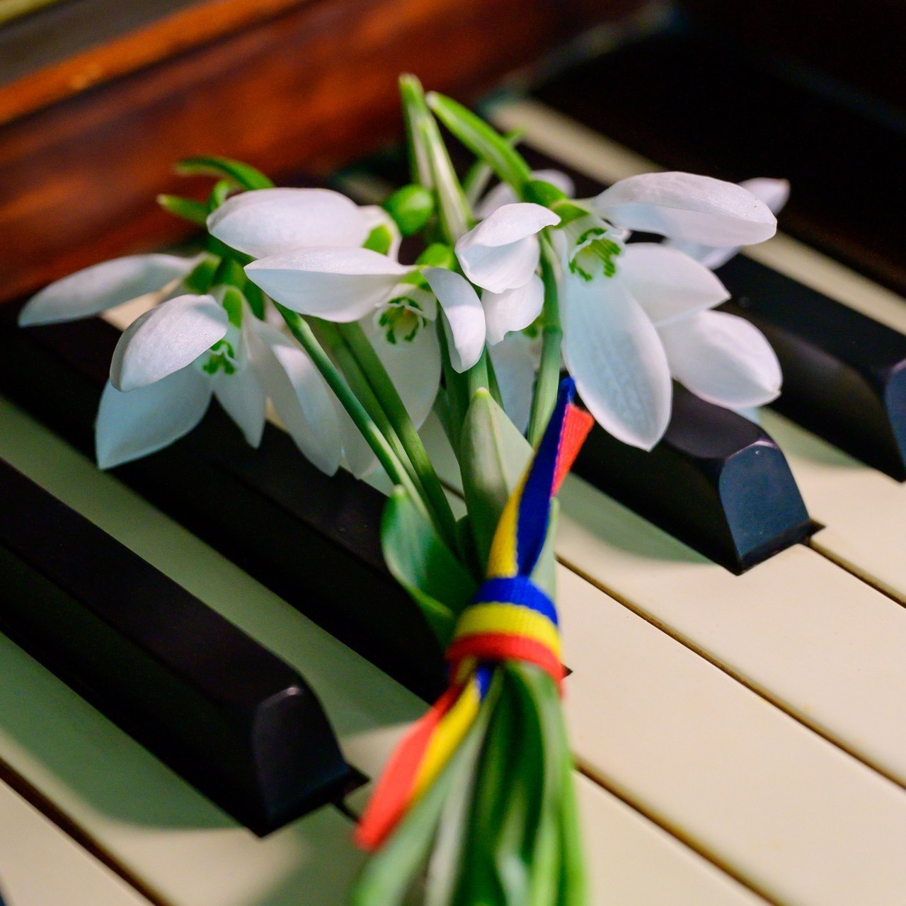 Testimonials. KoRa Foto Art