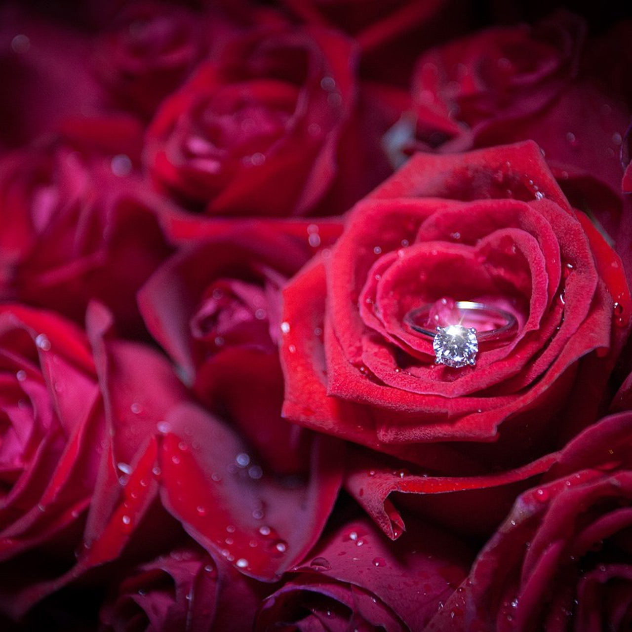 Photo. Romantic proposal on Koh Samui, Thailand