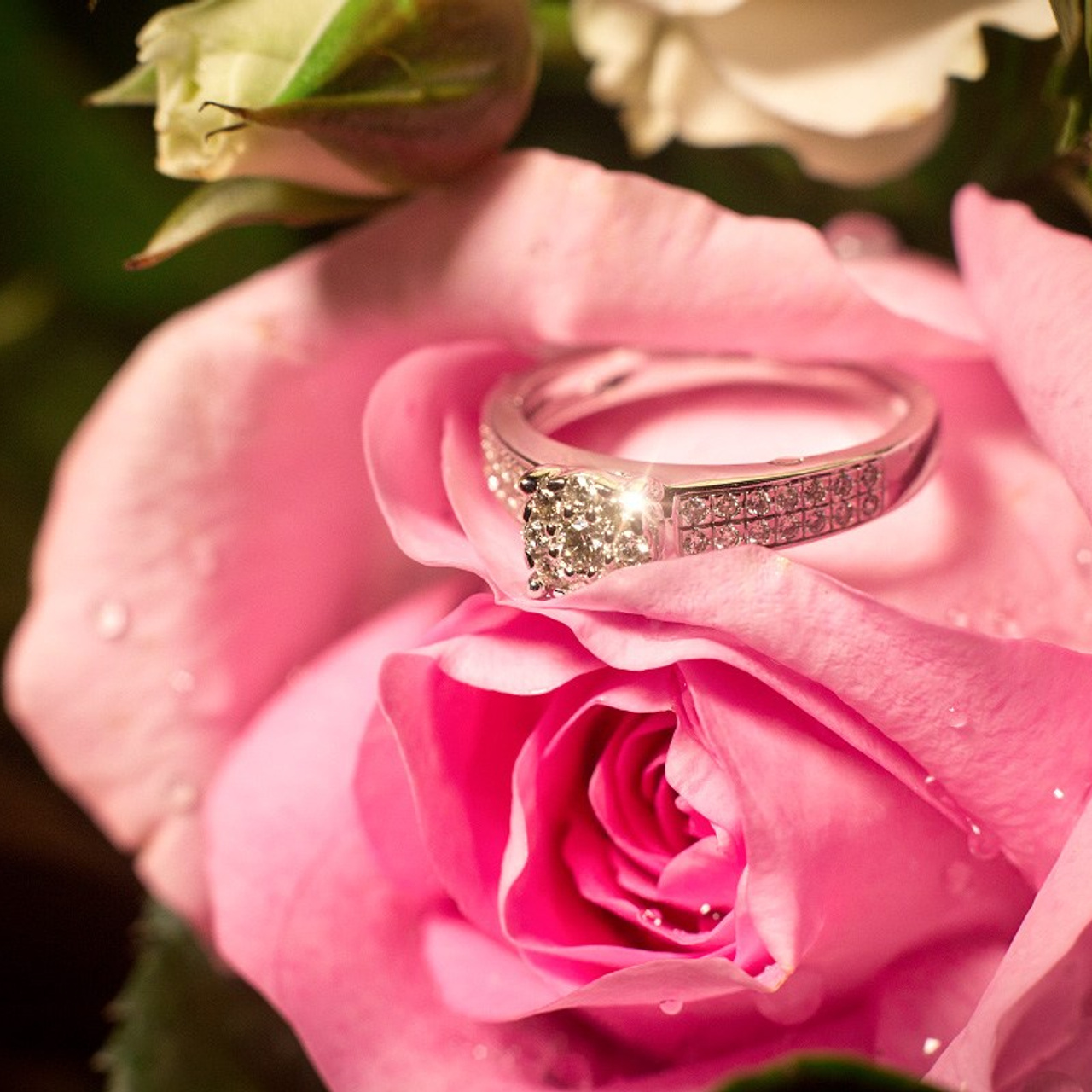 Photo. Romantic proposal on Koh Samui, Thailand