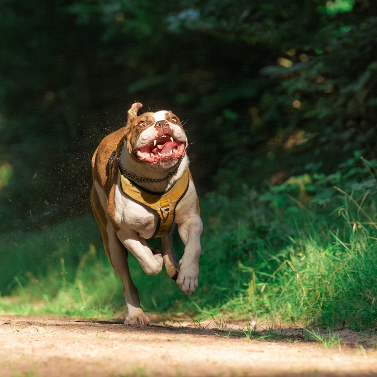 Referenzen. Thorben Ihler - Dein Fotograf aus Emden
