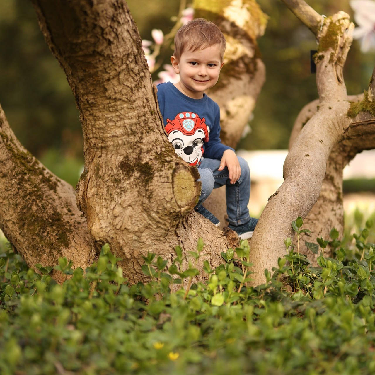 Kundenstimmen & Feedback | Albina Vaniyants – Familien-, Kinder- & Portraitfotografie. Professionelle Familienfotografie, Kinderfotografie und Portraitfotografie in Linz, Oberösterreich - Albina Vaniyants, Fotografin aus OÖ