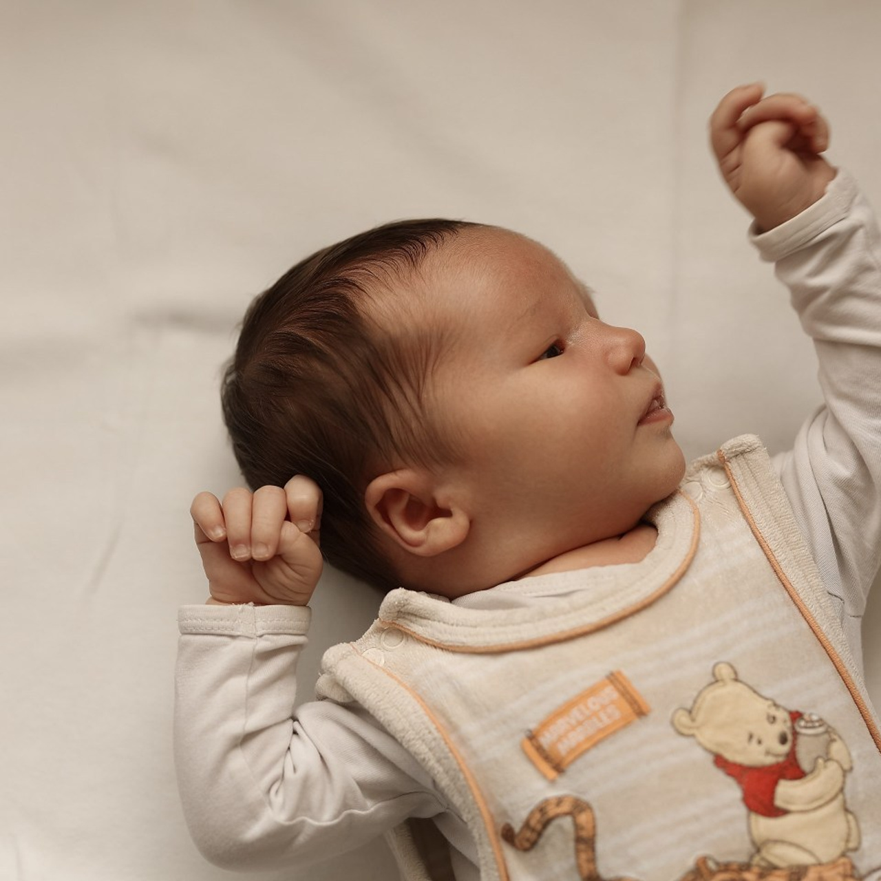 Kundenstimmen & Feedback | Albina Vaniyants – Familien-, Kinder- & Portraitfotografie. Professionelle Familienfotografie, Kinderfotografie und Portraitfotografie in Linz, Oberösterreich - Albina Vaniyants, Fotografin aus OÖ