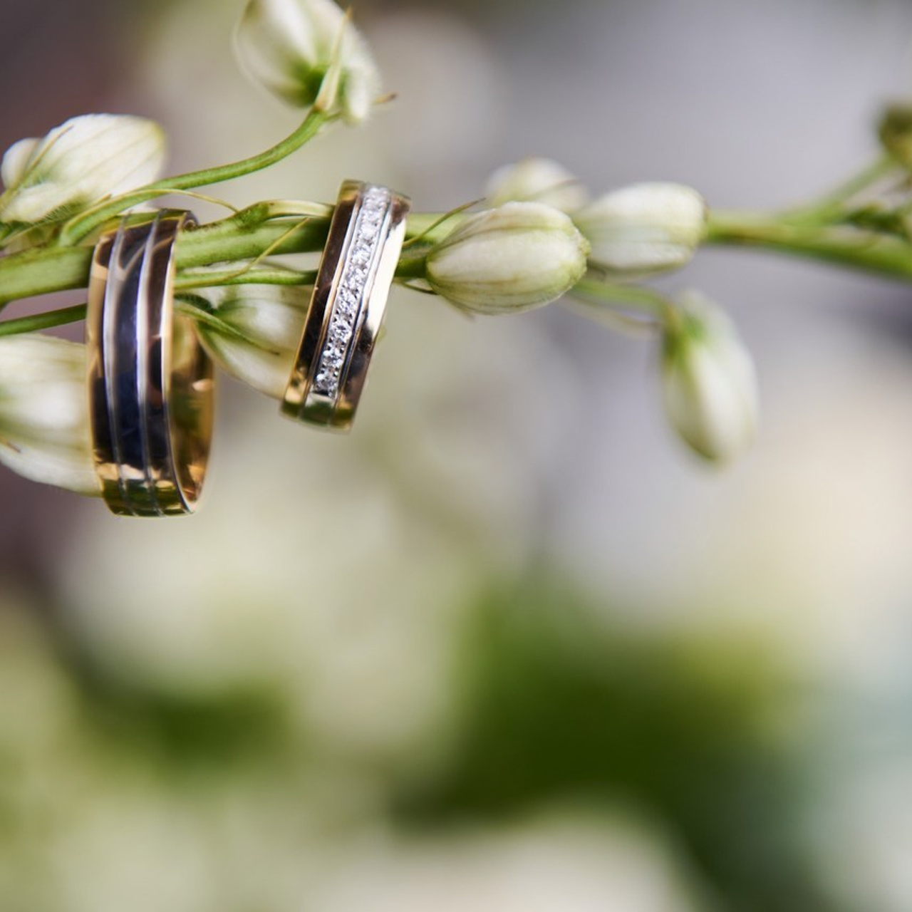 Atsauksmes. Kāzu un ģimenes fotogrāfs Rīgā Sergejs Getņikovs