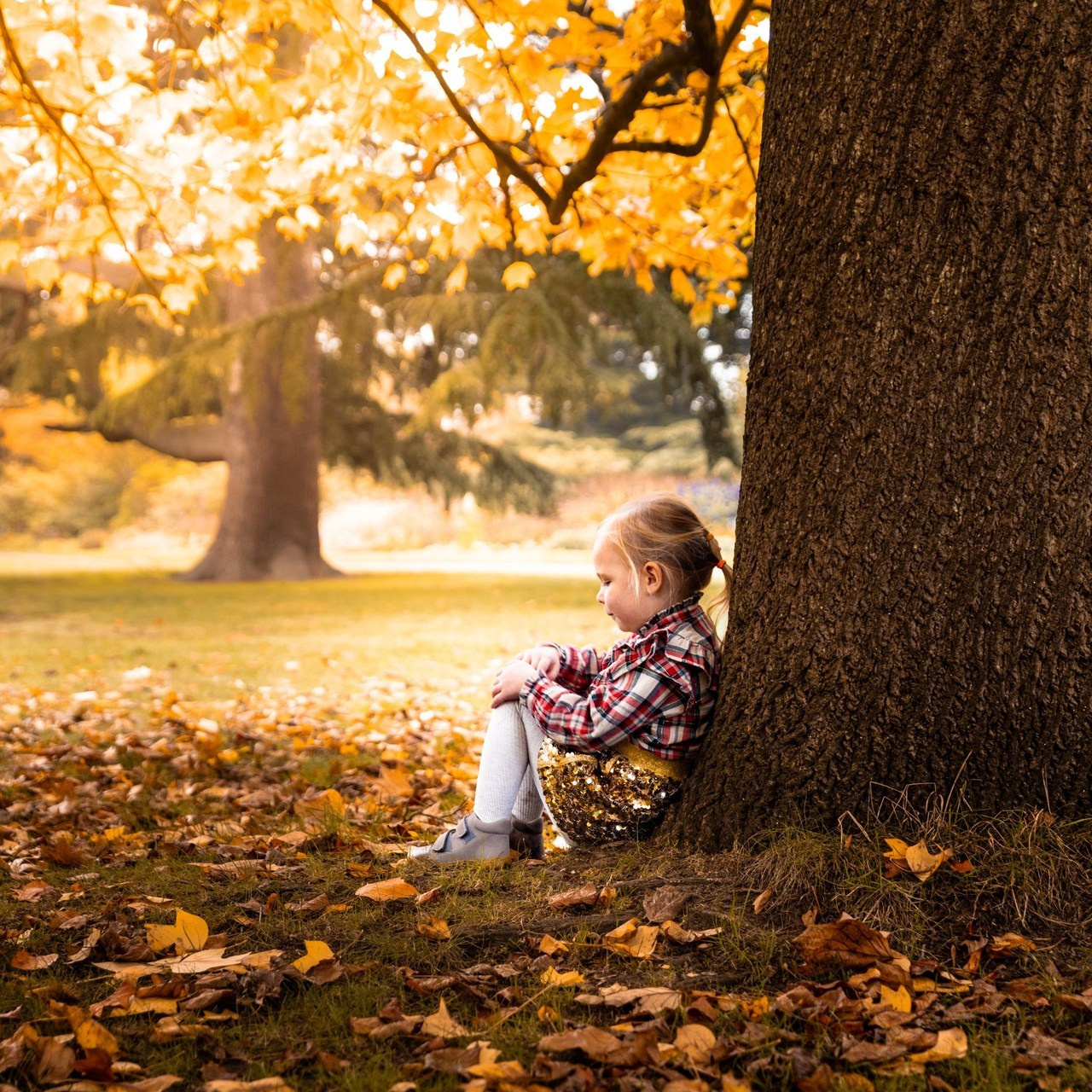 Testimonials. Фотограф в Лондоне и Великобритании