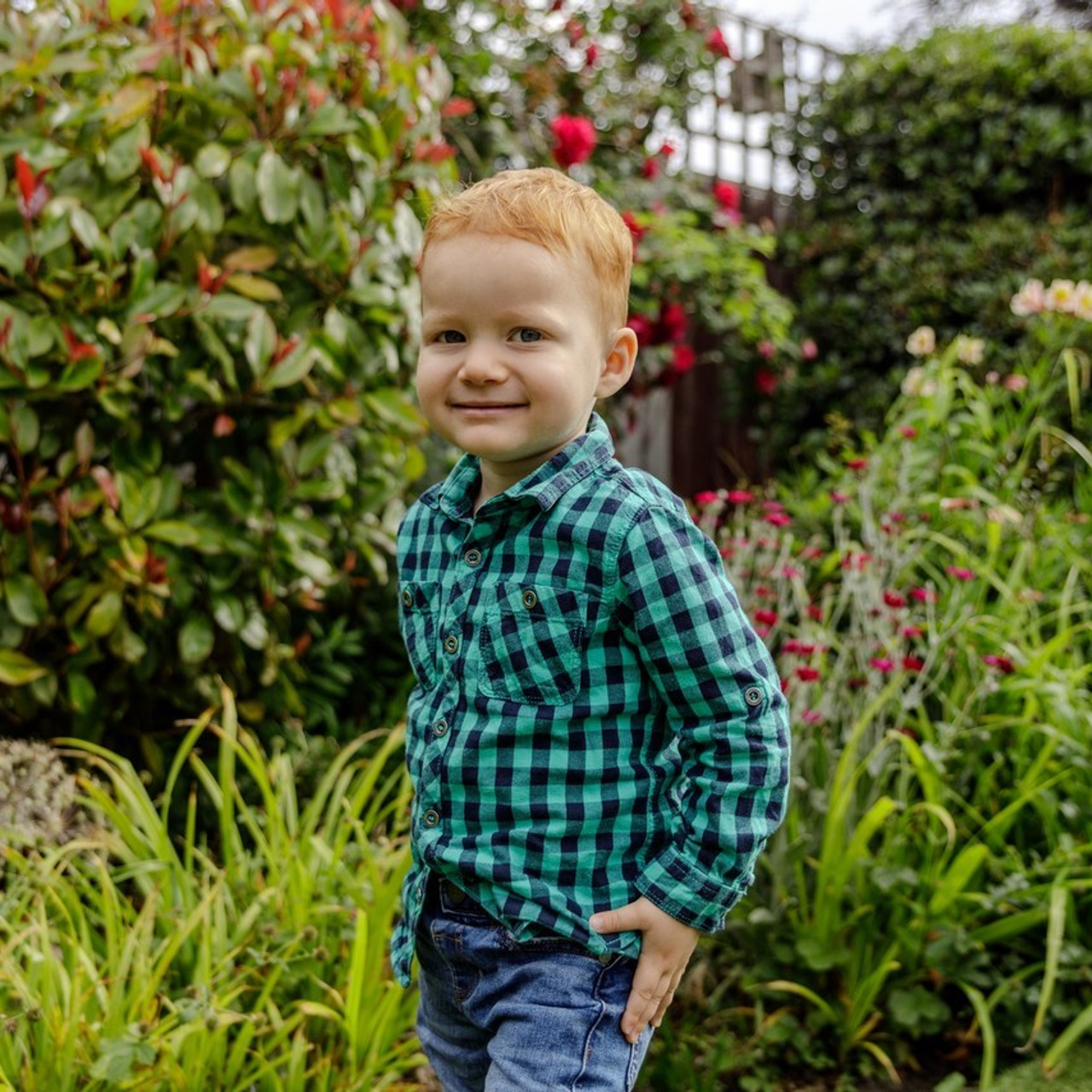 Testimonials. Photographer for you. Bohdan Suhaka