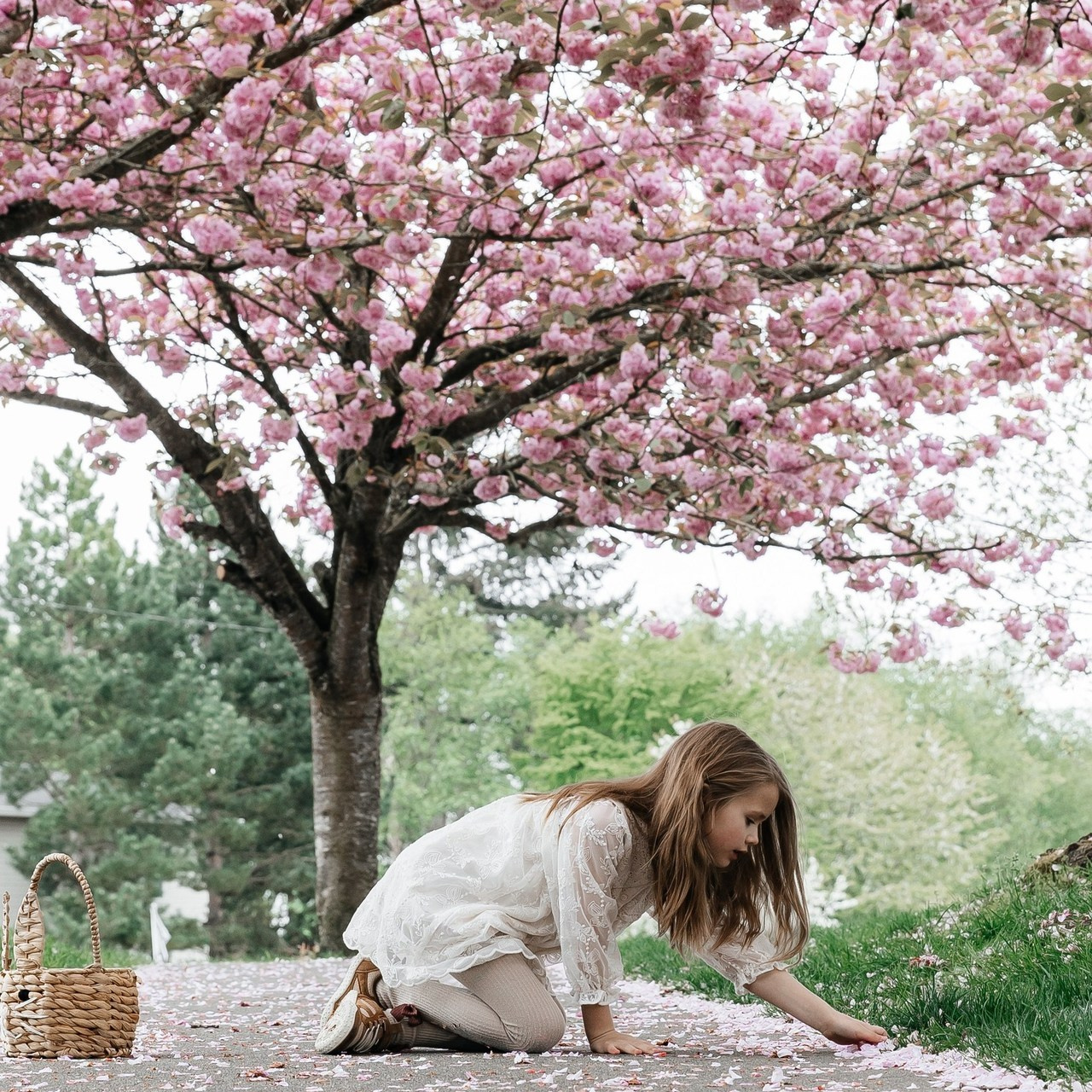 Documentary and Portrait Photographer in Seattle