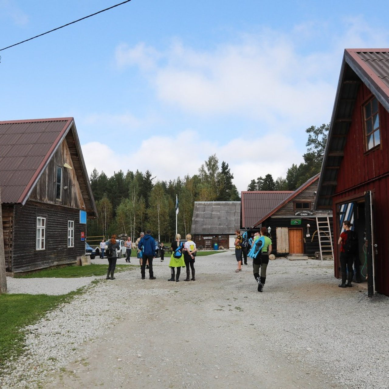 Tagasisiide. Свадебный фотограф Эстонии