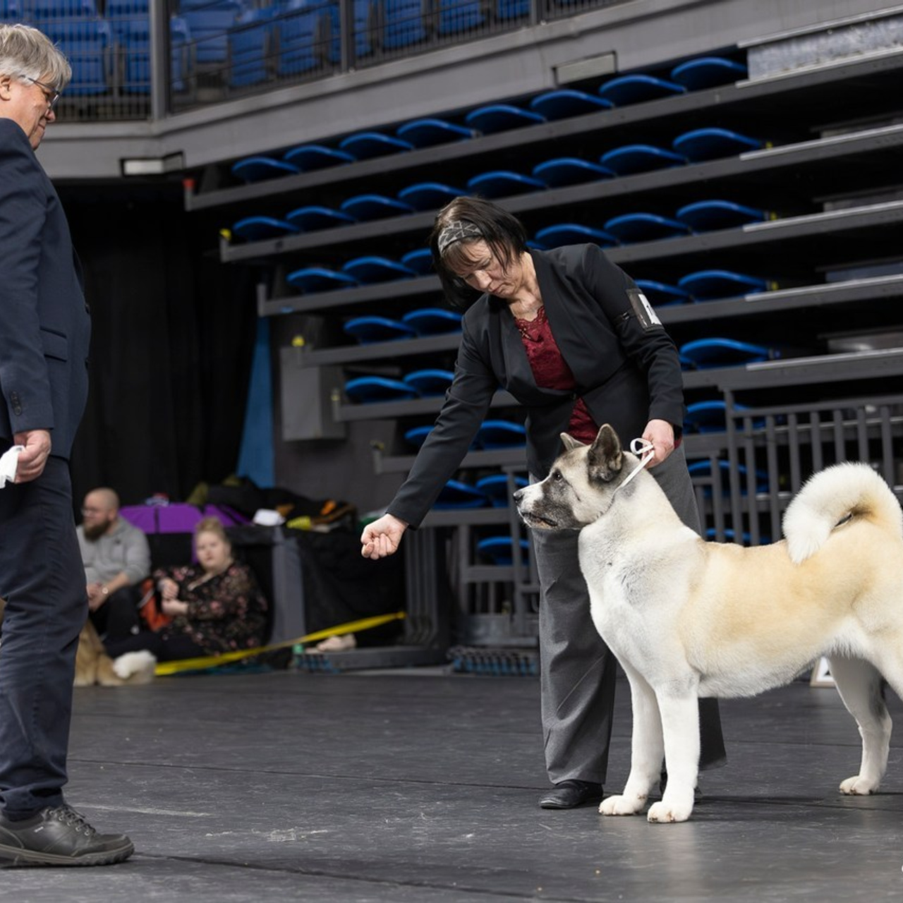 Testimonials. Eva Suits