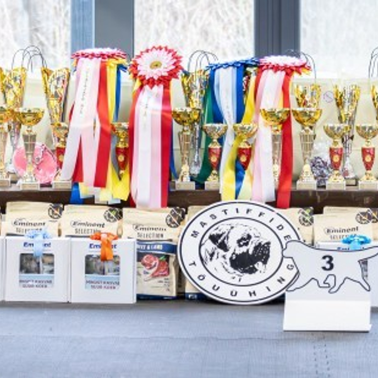 Testimonials. Eva Suits